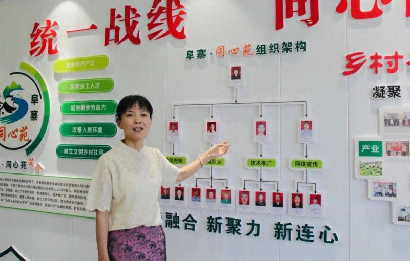 兴平网站建设:构建高效信息桥梁